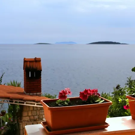 公寓 Apartments By The Sea Karbuni, Korcula - 10045 普瑞兹巴