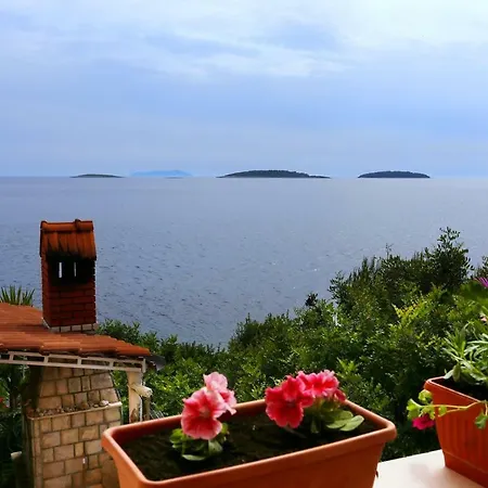 Apartments By The Sea Karbuni, Korcula - 10045 *